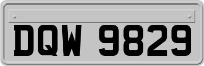 DQW9829