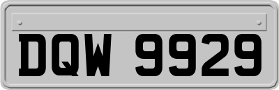 DQW9929