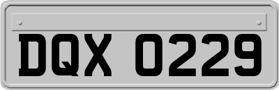 DQX0229