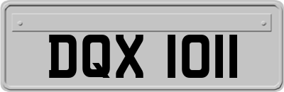 DQX1011