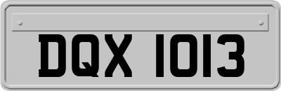 DQX1013
