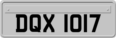 DQX1017