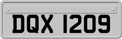 DQX1209
