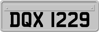 DQX1229