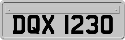 DQX1230