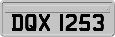 DQX1253