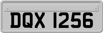 DQX1256