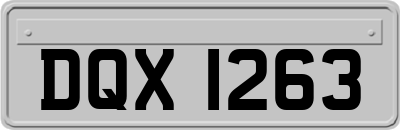 DQX1263