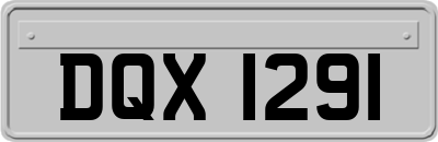 DQX1291