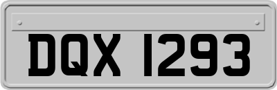 DQX1293