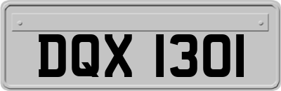 DQX1301