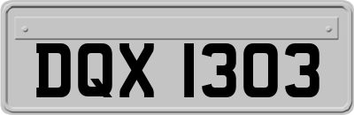 DQX1303