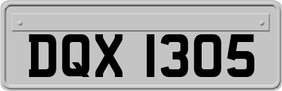 DQX1305