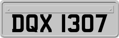 DQX1307