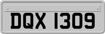 DQX1309