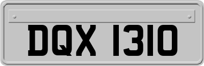 DQX1310