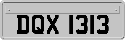DQX1313