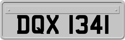 DQX1341