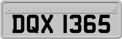 DQX1365