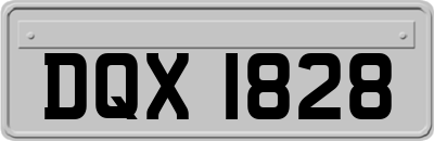 DQX1828