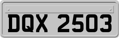 DQX2503