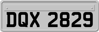 DQX2829