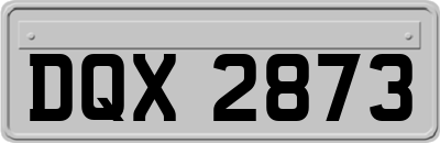 DQX2873