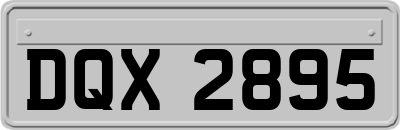 DQX2895