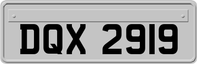 DQX2919