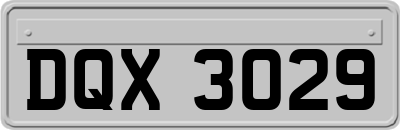 DQX3029