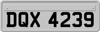 DQX4239