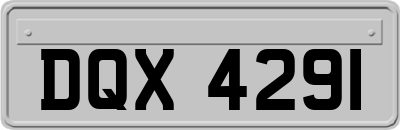 DQX4291