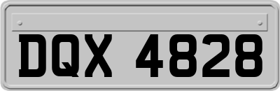 DQX4828