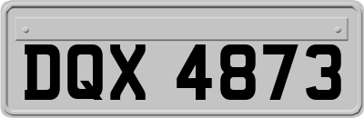 DQX4873