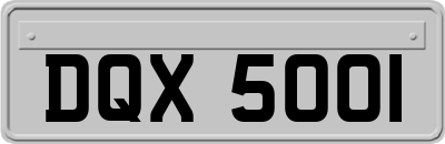 DQX5001