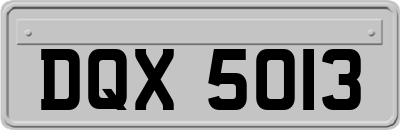 DQX5013