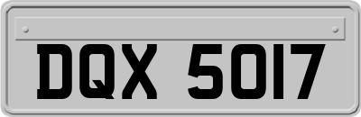 DQX5017