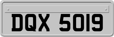 DQX5019