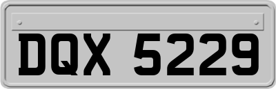 DQX5229