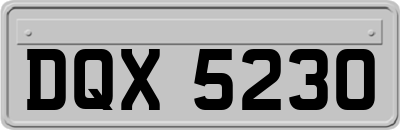 DQX5230
