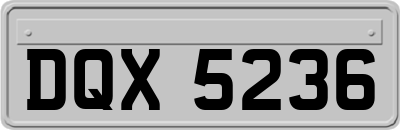 DQX5236