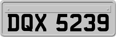 DQX5239