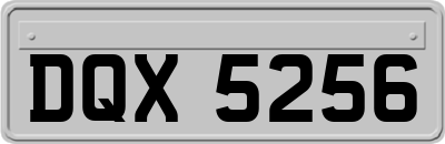 DQX5256