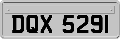 DQX5291