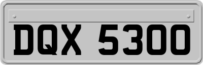 DQX5300