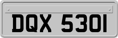 DQX5301