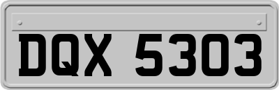 DQX5303