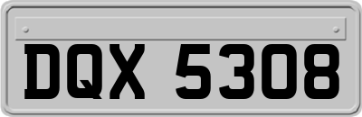 DQX5308