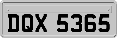 DQX5365
