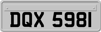 DQX5981